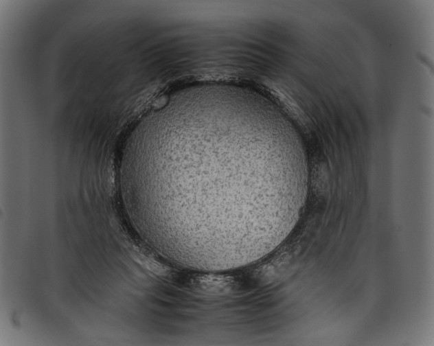 X0000097880261200803281230