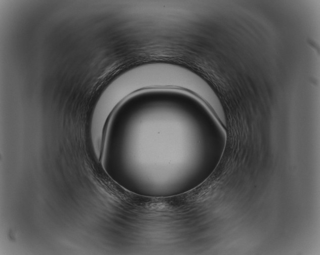 X0000097880262200803281230