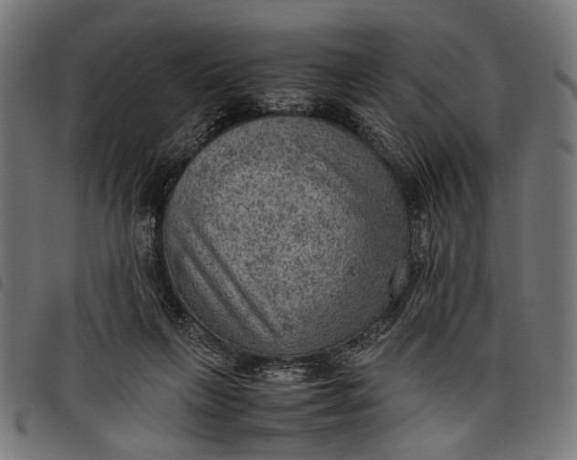 X0000097880263200803281230