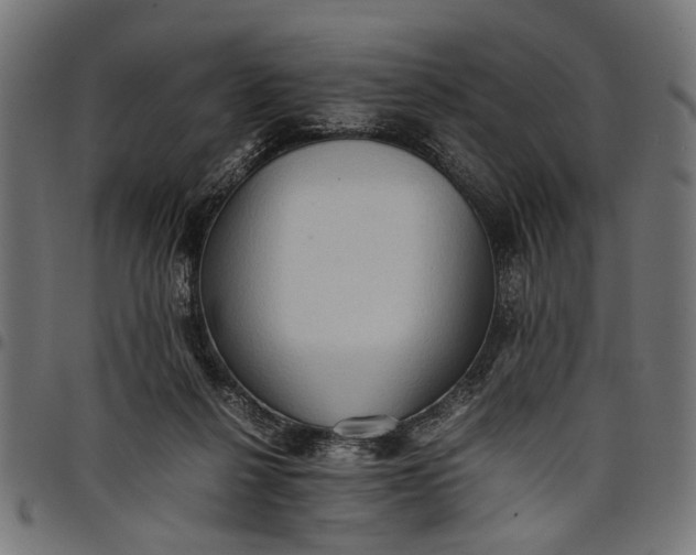 X0000097880264200803281230