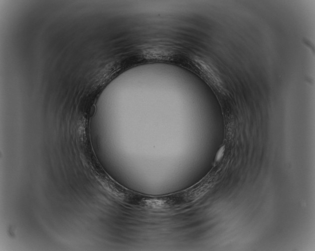 X0000097880265200803281230