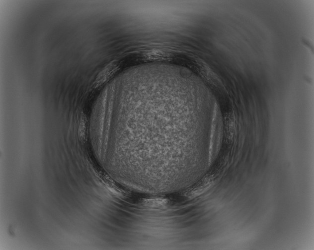 X0000097880266200803281230