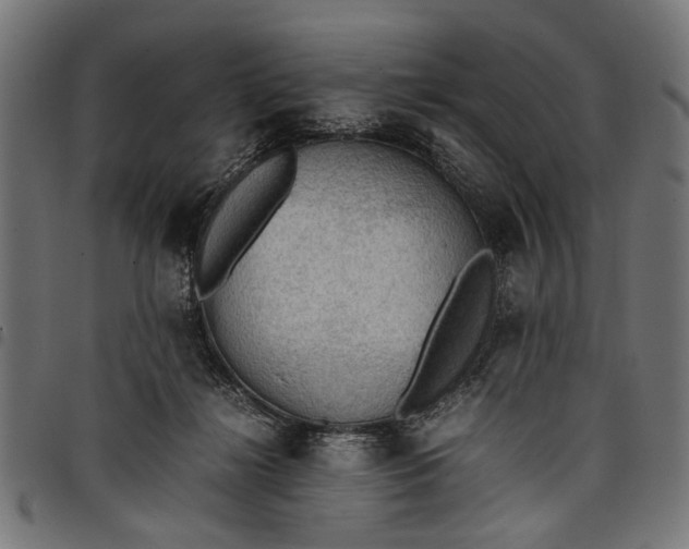 X0000097880268200803281230