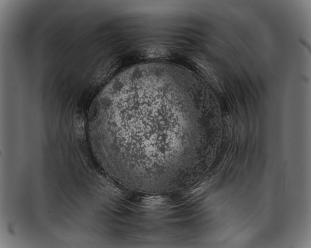 X0000097880269200803281230