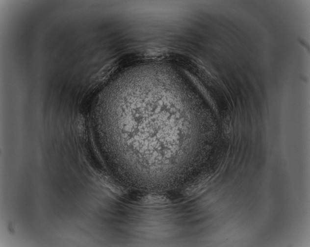 X0000097880270200803281230