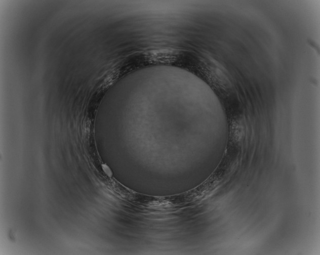 X0000097880271200803281230