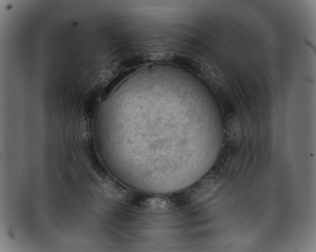 X0000097880272200803281230