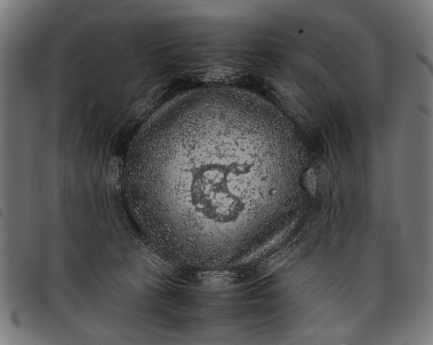 X0000097880273200803281230