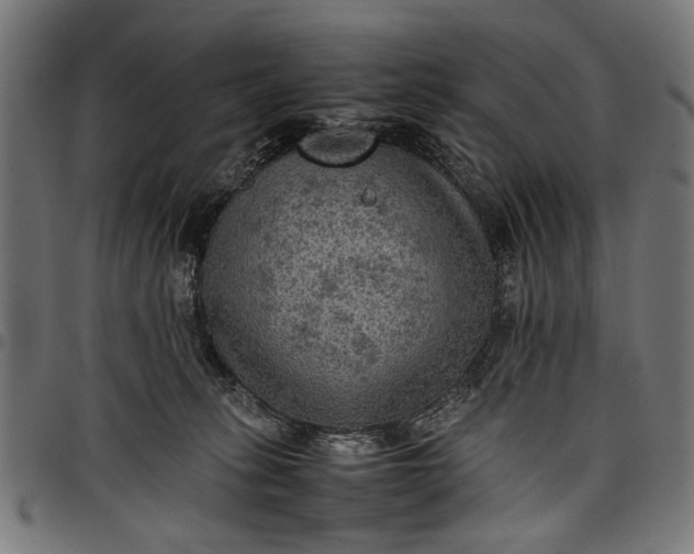 X0000097880275200803281230