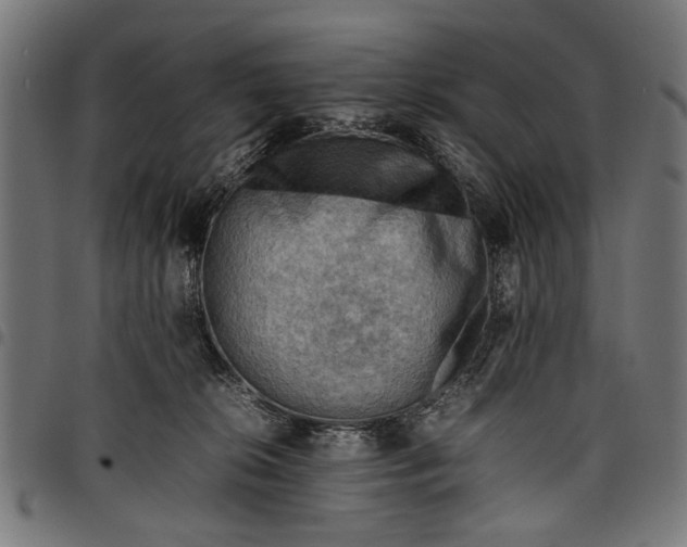 X0000097880276200803281230