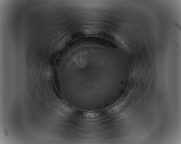 X0000097880277200803281230