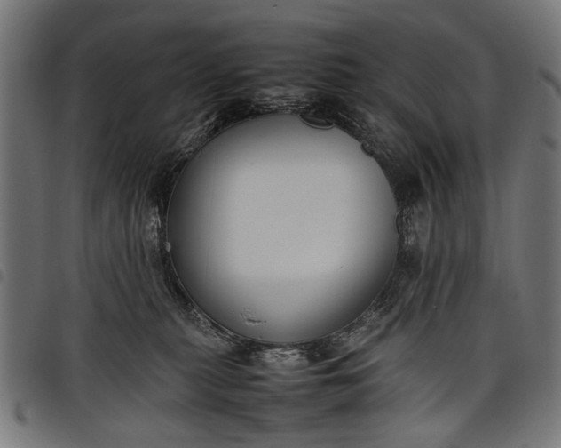 X0000097880279200803281230