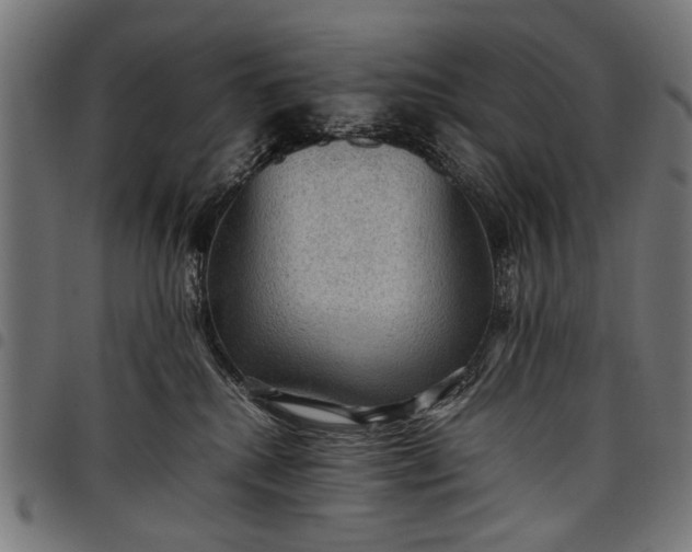 X0000097880280200803281230