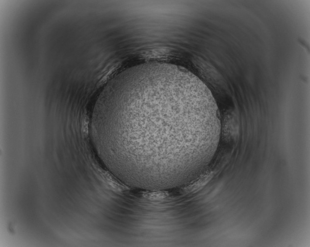 X0000097880282200803281230