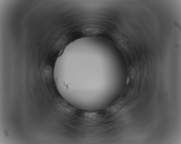 X0000097880283200803281230