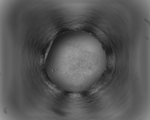 X0000097880284200803281230