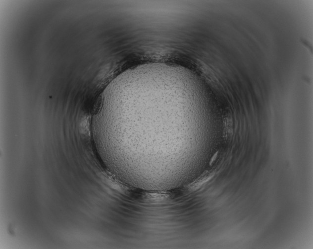 X0000097880286200803281230