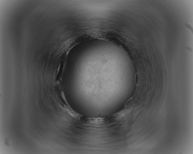 X0000097880288200803281230