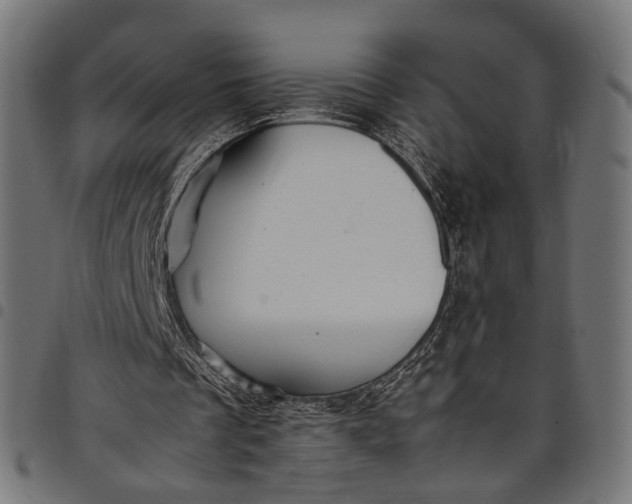 X0000097880289200803281230