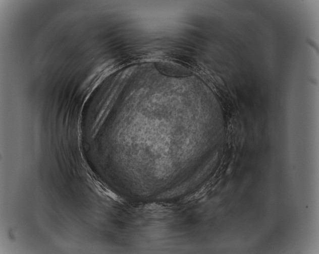 X0000097880290200803281229