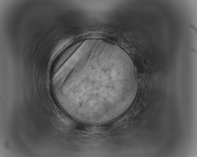 X0000097880293200803281229