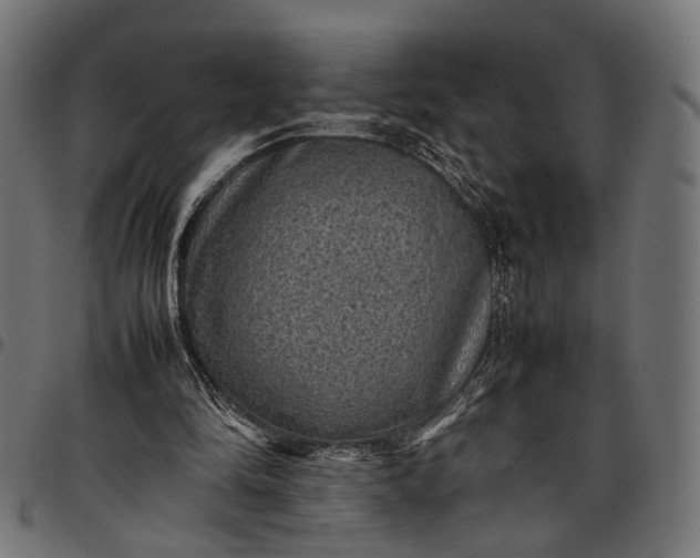 X0000097880294200803281229