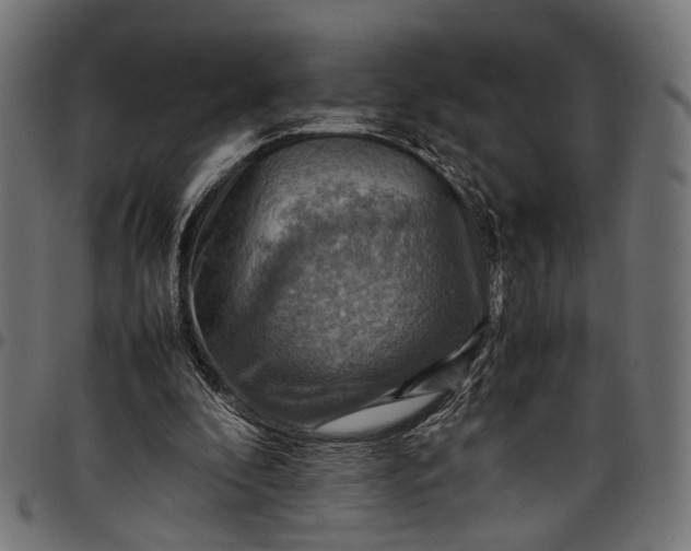 X0000097880296200803281229