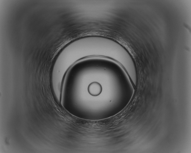 X0000097880297200803281229