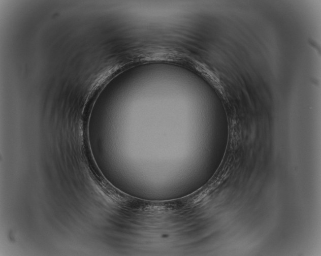 X0000097880298200803281229