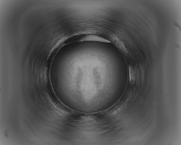 X0000097880300200803281229