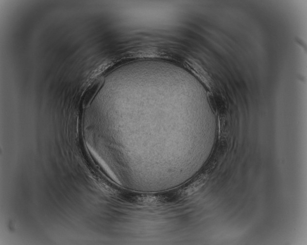 X0000097880301200803281229