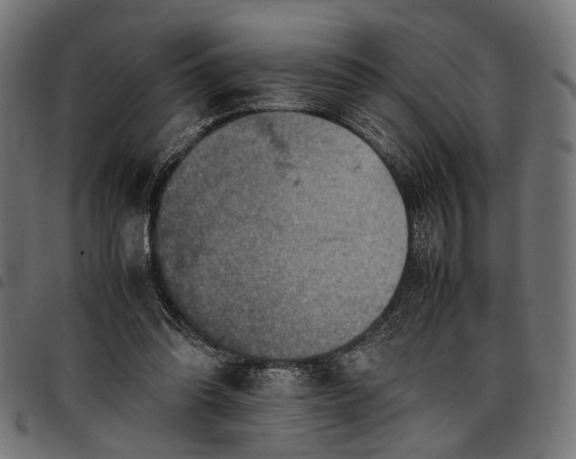 X0000097880302200803281229