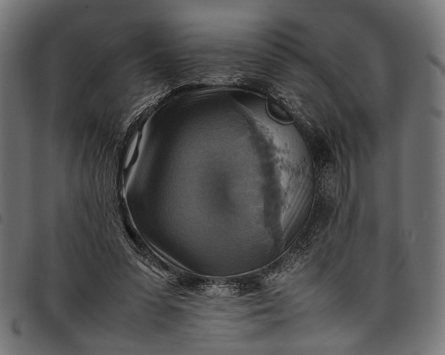 X0000097880303200803281229