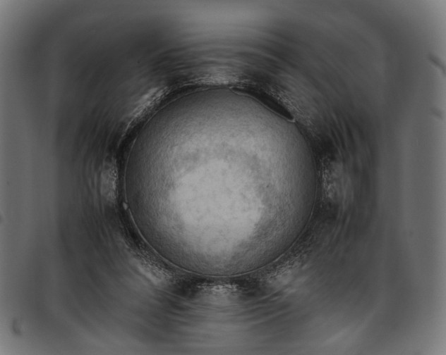 X0000097880304200803281229