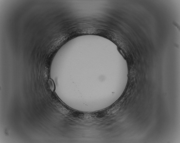 X0000097880305200803281229