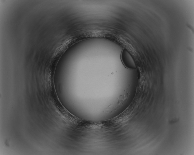 X0000097880306200803281229