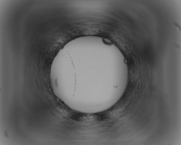 X0000097880307200803281229