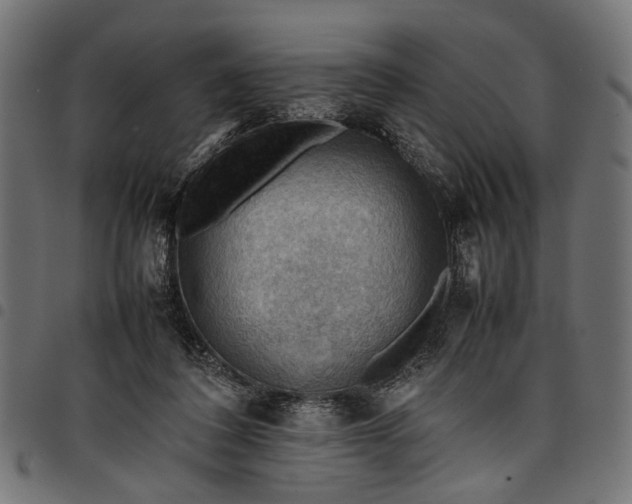 X0000097880308200803281229