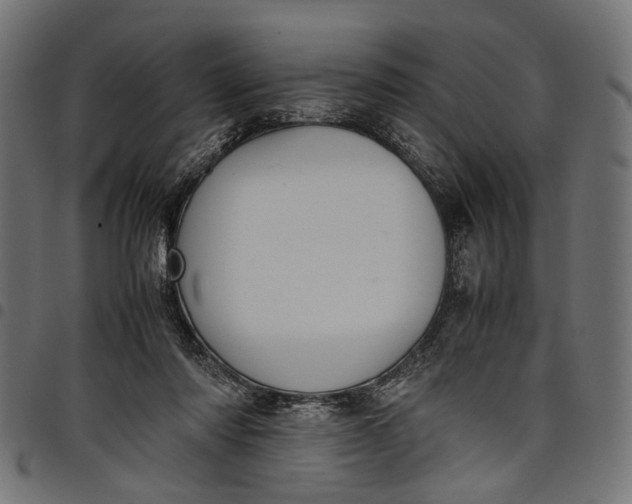 X0000097880310200803281229