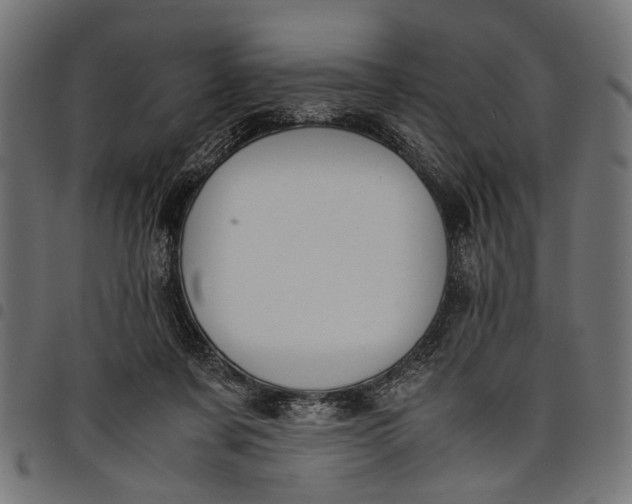 X0000097880311200803281229