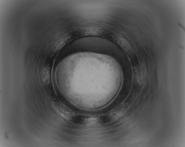 X0000097880312200803281229