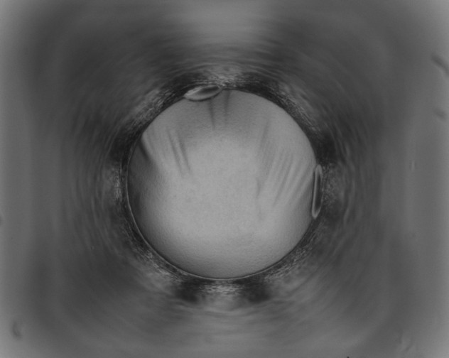 X0000097880313200803281229