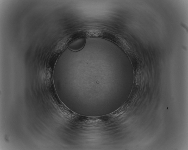 X0000097880314200803281229