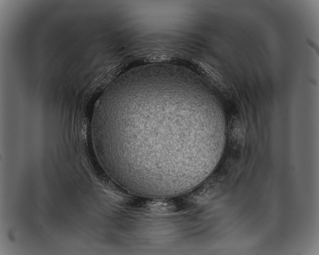 X0000097880315200803281229