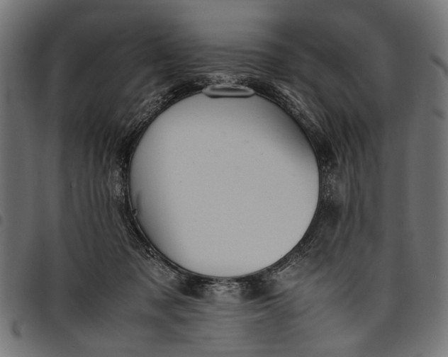 X0000097880317200803281229