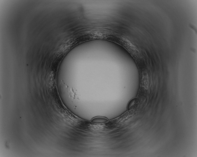 X0000097880318200803281229