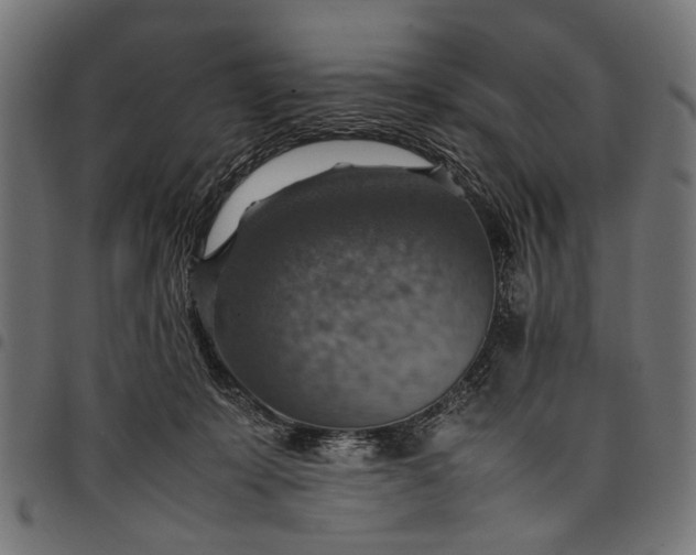 X0000097880319200803281229