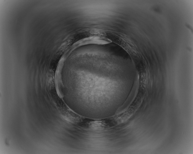 X0000097880320200803281229