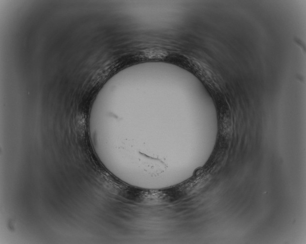 X0000097880321200803281229