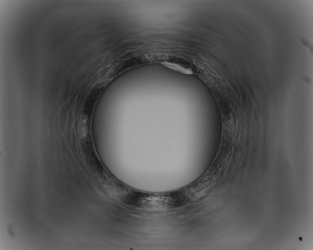 X0000097880323200803281229